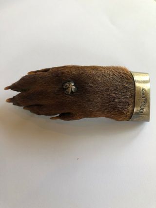 1910 Sterling Silver Mount - Otter Paw & Ring - Taxidermy Hunting Trophy Brooch