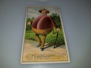 Antique Victorian Trade Card Plum Full Boots Shoes And Rubbers Addison York