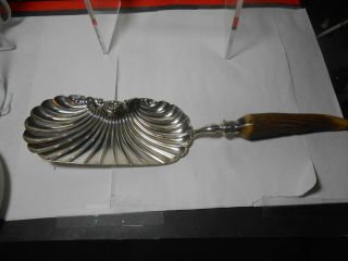 Victorian Clam Shell Silver Plated Server Bone Handle Outstanding Look Wow