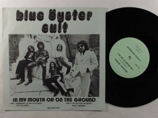 Blue Oyster Cult In My Mouth Or On The Ground Dragonfly 10 " Vg,  W/cover Sheet