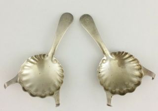 Pair Antique 19th C Sterling Silver Shell Tea Caddy Chocolate Spoons Gorham