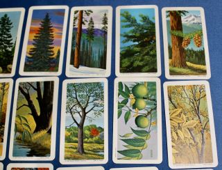 VINTAGE BROOKE BOND CAN COLLECTOR RED ROSE TEA CARDS - TREES OF North America 1 4