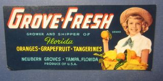 Old Vintage - Grove Fresh Oranges / Citrus Label - Newbern Groves Tampa Florida