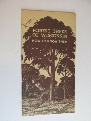 Sba149 Vintage Forest Trees Of Wisconsin Wi - How To Know Them Booklet