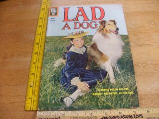 Lad A Dog Movie Classic 1303 1960s Comic Dell Four Color Htf F - Photo Cover