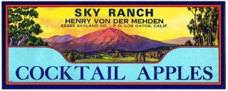 Los Gatos California Apple Crate Label Vintage 1940s Rare Sky Ranch V4