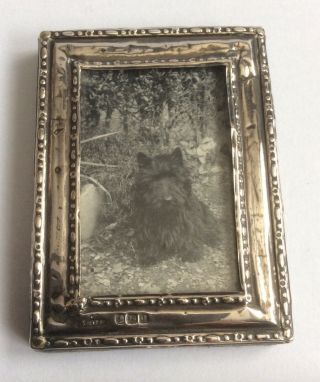 Small Antique Hallmarked 1919 Silver Photo Frame Picture Of Scottish Terrier Dog