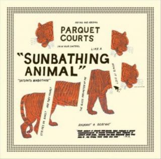 Parquet Courts - Sunbathing Animal Vinyl Record
