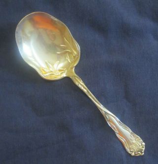 Silverplated Berry Or Casserole Spoon Erythronium 1905 American Silver Co.  /world