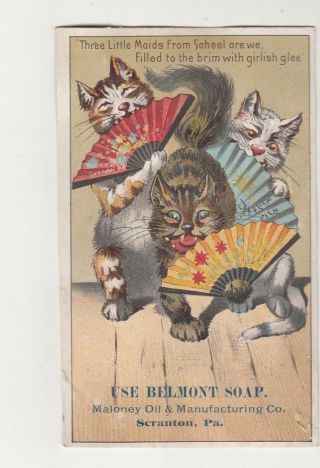 Belmont Soap Maloney Oil Mfg Scranton Pa Three Little Maids Cats Fans Card C1880
