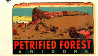Arizona Petrified Forest Old Faithful Log Vintage Water Slide Decal