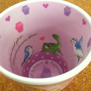 Rapunzel Tangled Plastic Melamine Cup Lovely design drink supply Disney Princess 5