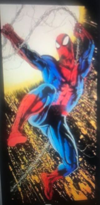 Spiderman Door Poster Vintage Rolled 1995 Marvel 30 " X 60 "