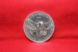 2015 1 Oz Canadian Silver Great Horned Owl Coin