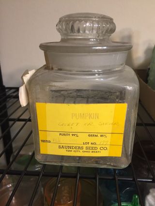 Vintage Saunders Seed Co.  Large Glass Seed Jar With Lid Pumpkin