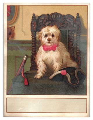 White Dog On Chair With Red Bow Tie Collar Victorian Trade Card Vt19