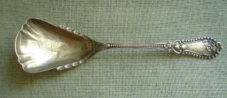 Early 20th Century Sterling Silver Shell - Shaped Sugar Scoop/spoon