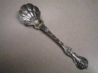 Antique Whiting Manufacturing Sterling Silver King Edward Sugar Spoon
