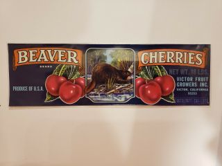 Vintage Beaver Cherries Brand Produce Label,  Victor Fruit Growers,  Victor,  Ca