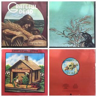 Grateful Dead Albums Lp Vinyls 12 " Records 33rpm $20 Each Album
