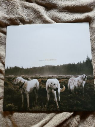 Foxing - The Albatross Vinyl Lp Green/cream Variant
