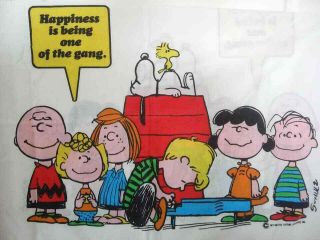 Vtg Peanuts Charlie Brown The Gang 1971 Standard Pillowcase
