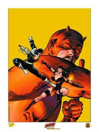 Daredevil Death Of Elektra By Frank Miller Lithograph Print Poster 18 " X 24 "