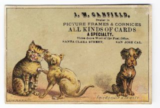 San Jose Ca Canfield Picture Frames Cat & Dogs George Hayes Victorian Trade Card