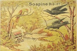 Soapine Soap Birds Providence Ri 1880s Victorian Advertising Trade Card