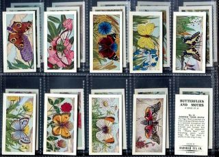 Trade Card Set,  Badshah Tea,  Butterflies & Moths,  Butterfly,  1971