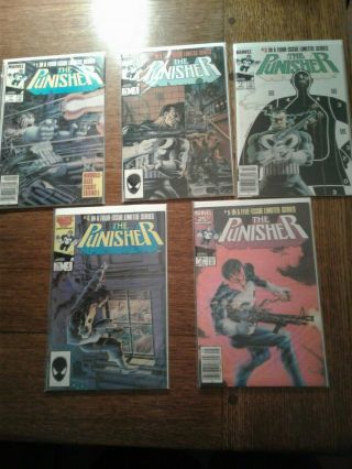 Punisher Comic Lot; Limited Series 1 - 5,  16 More (incl.  Vol.  2 Issue 1)
