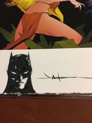 Batman And The Maxx Fine Art Print Signed And Sketch By Jae Lee 15/25 2