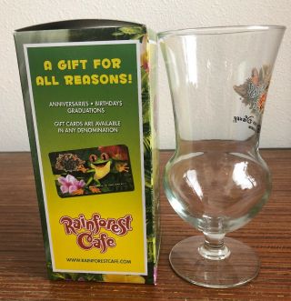 Collectable Downtown Disney Anaheim Rainforest Cafe Hurricane Glasses 2