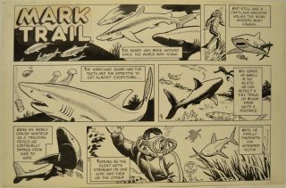 Mark Trail Sunday Comic Strip Art 1979 Ed Dodd Estate Jack Elrod Shark
