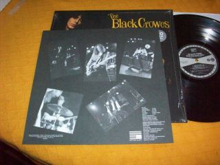 The Black Crowes,  Shake Your Money Maker,  2015 American Press.  EX Cond. 4