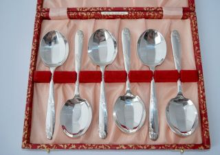 Boxed Set Of 6 Vintage Angora Silver Plate Dessert Spoons - Scalloped Bowl/flora