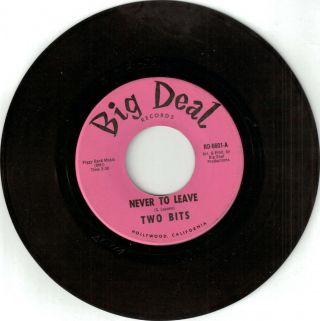 Two Bits - Big Deal - " Never To Leave & Things Must Change " 45 Rpm - Vg