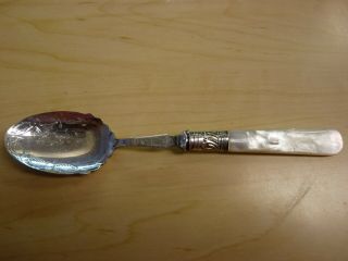 Antique Vintage Epns Mother Of Pearl Handle Preserve / Jam Spoon