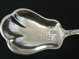 Antique SIMPSON HALL MILLER & Co Sterling FLORAL Sugar Shell Spoon 5 - 3/4”,  26g 5