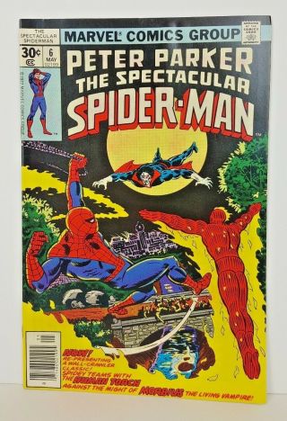 The Spectacular Spider - Man 6 (may 1977,  Marvel) Team - Up W/ Human Torch Vf