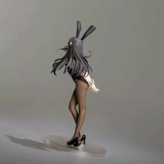 Anime ANIPLEX adolescent school sister ' s dream bunny girl doll no box 26cm 3