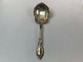 Antique Sterling Silver Baker Manchester Lady Clare Shell Sugar Spoon