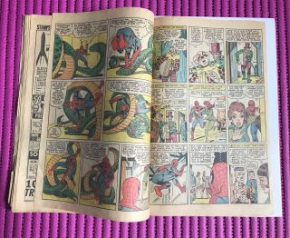 The SPIDER - MAN 22,  Marvel 1965 1st App Princess Python 5