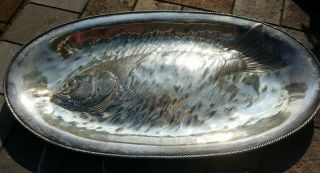 James Tufts Silverplate Antique 1885 Victorian Embossed Fish Platter Very Cool