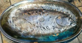 James Tufts silverplate Antique 1885 Victorian embossed fish platter very cool 3
