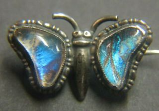 Antique Solid Silver Art Deco Butterfly Pin Brooch With Iridescent Wings