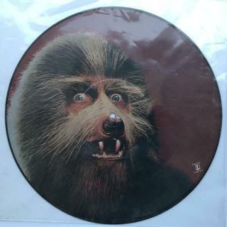 Warren Zevon Werewolves Of London Rare Promo Picture Disc 12 " Vg,