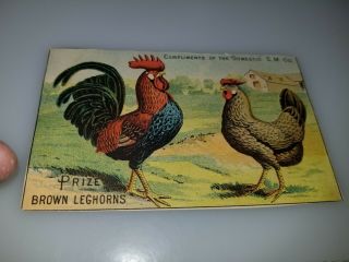 Antique Victorian Trade Card Domestic Sewing Machine Co Prize Brown Leghorns