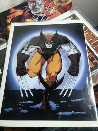 Ultra Rare Wolverine Print - Norman James - 1989 K003 - None On Ebay.  Bc Ca