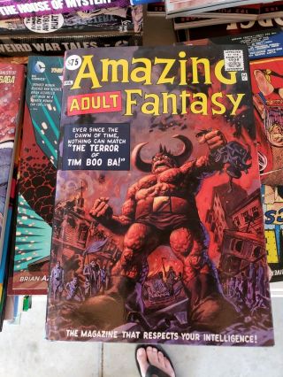 Adult Fantasy 1st Print Variant Cover Marvel Omnibus Ditko Kirby 15